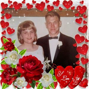 Meet your Posher, Sue